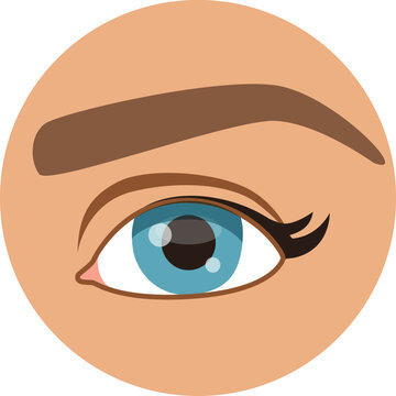 Female eye. Human vision round icon. Anatomy symbol