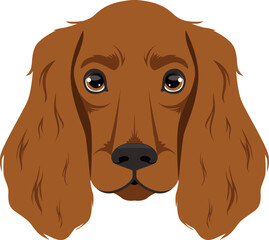 Setter head icon. Fluffy dog cartoon face