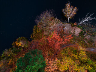 Aerial Drone view of colorful forest trees and lake in autumn. Ukraine