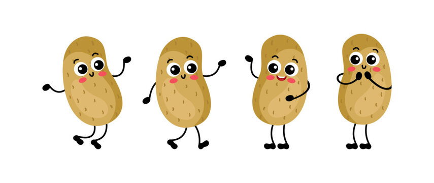 Set of funny potato in different positions