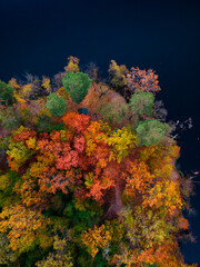 Naklejka na ściany i meble Top view of colorful forest trees and lake in autumn. Ukraine