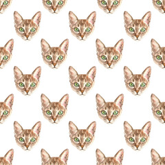 Watercolor cat pattern, cute fabric design for kids, cat breeds, british ,white background seanpless pattern, scrapbooking,wallpaper,wrapping, gift,paper, for clothes, children textile,digital paper, 