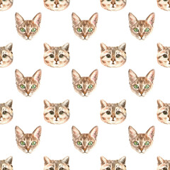 Watercolor cat pattern, cute fabric design for kids, cat breeds, british ,white background seanpless pattern, scrapbooking,wallpaper,wrapping, gift,paper, for clothes, children textile,digital paper, 