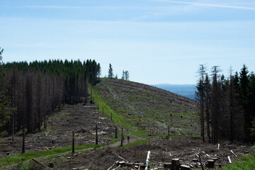 Obraz premium Harz in Brandgefahr