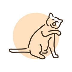 Playing sitting cat color line icon. Pictogram for web page