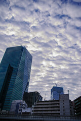Fototapeta na wymiar うろこ雲と東京六本木4丁目の街の風景