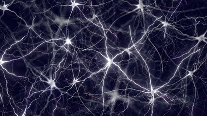 Neurons also known as neurones or nerve cells. The neurons transmit information between different parts of the brain and between the brain and the rest of the nervous system