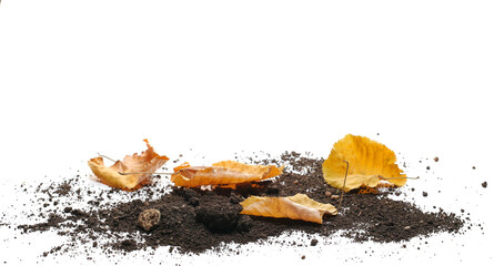 Yellow autumn leaves and soil pile isolated on white 