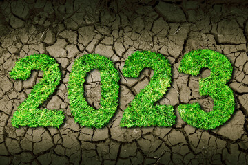 Green grass shaping number 2023 on dried soil