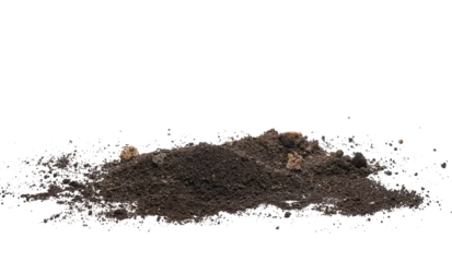 Foto op Canvas Soil, dirt pile isolated on white, side view   © dule964