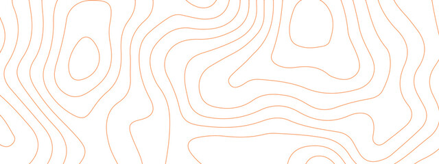 The stylized colorful wavy abstract topographic map contour, lines Pattern background. Topographic map and landscape terrain texture grid. Wavy banner and color geometric form. Vector illustration.