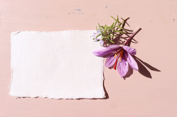 Autumn stationery mock-up scene. Blank cotton paper greeting cards, invitations with crocus...