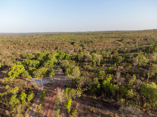 dry forest undergrowth by the warm winter weather of the brazilian savannah