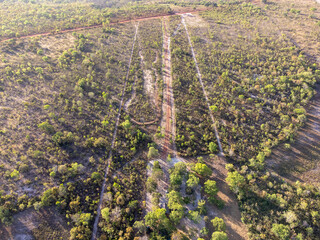 dry forest undergrowth by the warm winter weather of the brazilian savannah