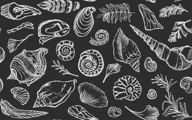 Isolated white chalk contour seashells and plants Seamless pattern Hand drawn ocean shell or conch mollusk scallop Sea underwater animal fossil Nautical and aquarium, marine theme. Vector illustration © zzayko
