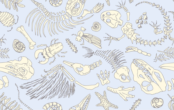 Isolated line contour imprints skeletons of prehistoric animals, insects and plants. Seamless pattern realistic hand drawn art. Vector illustration