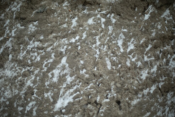 Texture is dirty snow. Snow on side of road. Pollution in city is in detail.