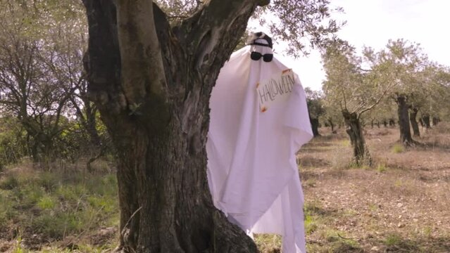 Beautiful ghost for Halloween outdoors. A ghost with a Halloween sign peeks out from behind a tree