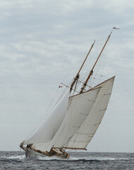 sail boat in the Cannes Regatta