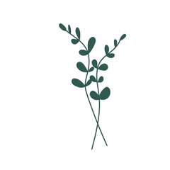 nature tropical leaf foliage decoration