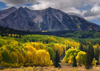 Beautiful Autumn Color in the Colorado Rocky Mountains. Late Day sun on Kebler Pass, Colorado.
