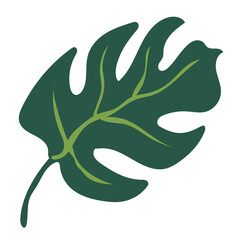 monstera tropical leaf decoration