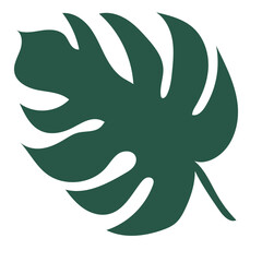 monstera tropical leaf decoration