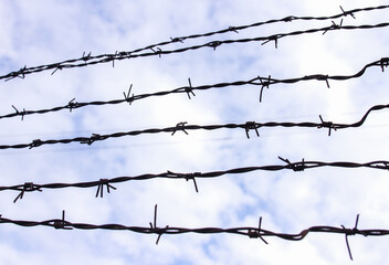 Fototapeta na wymiar Barbed wire on a background of white-blue sky