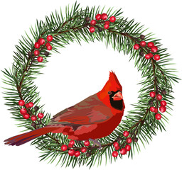 Red Cardinal Bird on a Christmas Tree wreath
