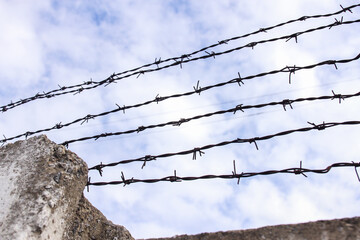 Barbed wire on a background of white-blue sky