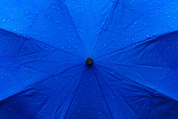 Umbrella, Rain, Rainbow, Close-up, Protection