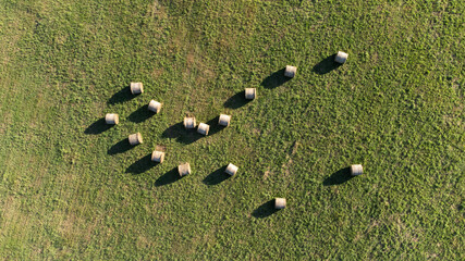 Amas de bottes de foin dans un champ composé d'herbe verte. Plusieurs ballots de foin dans une prairie. © Nicolaspetitfrère