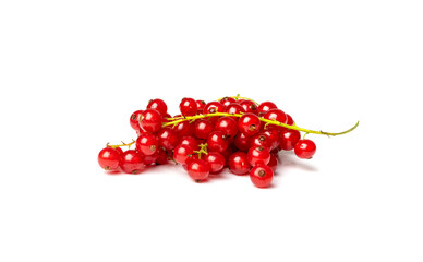 Red Currant Pile Isolated