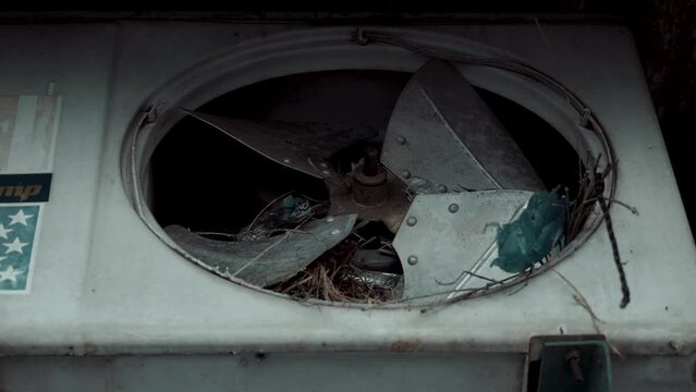 Old broken outdoor condenser unit from air conditioner with bird nest