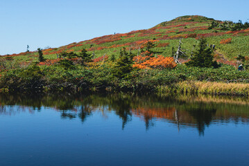 三ッ石山の紅葉　湿原の湖面の先に紅葉の頂