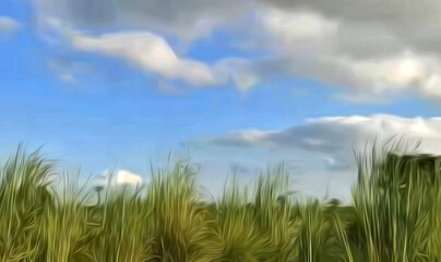Fototapeta premium aesthetic and beautiful grass background