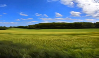 Fototapeta premium aesthetic and beautiful grass background