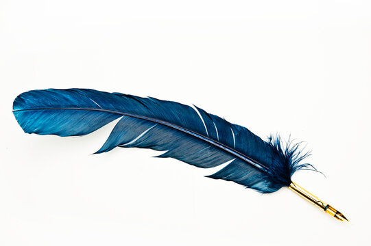 blue quill feather pen