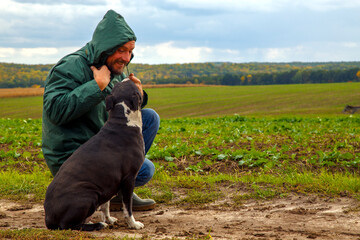 A man walks his dog in a field after a thunderstorm. Guy with staffordshire terrier in nature on a...