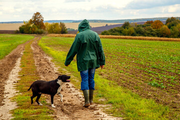 A man walks his dog in a field after a thunderstorm. Guy with staffordshire terrier in nature on a cloudy day. The concept of freedom, happiness, friendship, nature.