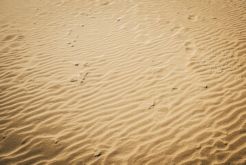 beach sand with forms formed by the wind