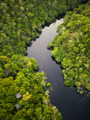 Beautiful aerial view to Negro River and green amazon vegetation