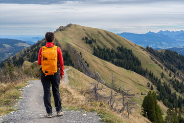 Hochgrat an der Nagelfluhkette Allgäu