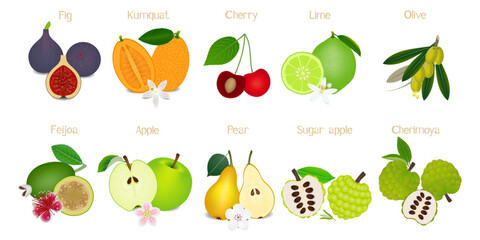 Set of whole fruits and a half isolated on white background.