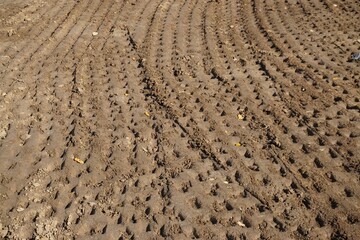 Braune Erdbodenfläche mit Fahrspurenmuster bei Sonne am Mittag im Herbst