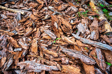heap from pieces of bark of conifers in Eastern Tirol, Austria