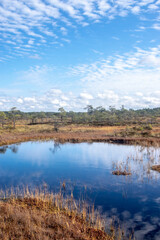 View in marsh with clouds