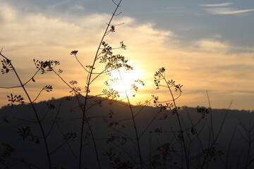 Obraz premium Sun rise behind the mountain