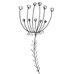 Plant doodle icon, black lineal floral illustration