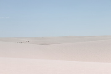 white sand / lençois maranhenses
